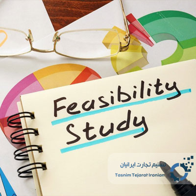 Feasibility Study